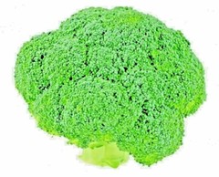 1200+ BROCCOLI WALTHAM SEEDS HEIRLOOM VEGETABLE GARDEN NON-GMO MICROGREENS USA