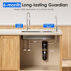 Waterdrop 10UB-CM 6 Months Under Sink Water Filter (Include: System+Faucet）