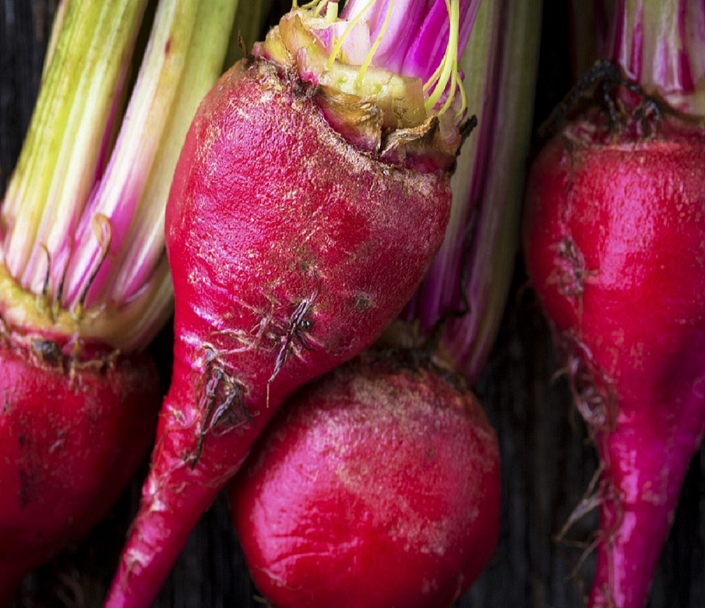 Bull’s Blood Beet Seeds | Heirloom | Non-GMO | Fresh Vegetable Seeds