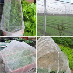 20~50ft Mosquito Garden Bug Insect Netting Barrier Bird Net Plant Protect Mesh