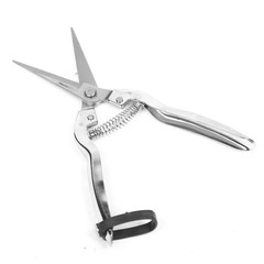 Stainless Steel Gardening Scissors Pruning Shears Fruit Tree Trimming Tool