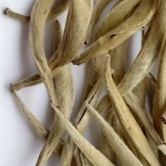 500g Yunnan Silver Needle Single Bud Moonlight White Ancient Tree Bulk White Tea