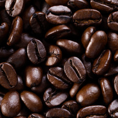 100 % Jamaican Blue Mountain Coffee Beans Dark Roasted Daily 2 Bags 1 Pound Each