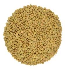Organic Green Lentils Whole Raw, High Fiber Non-GMO-Bulk