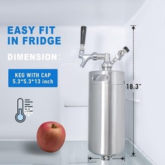 Stainless Steel 128oz Mini Keg with Updated CO2 Regulator – Fresh Beer Anytime