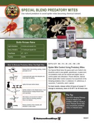 NaturesGoodGuys – Special Blend – Predatory Spider Mite Control – QTY2,000