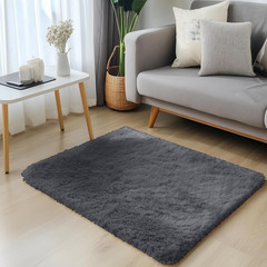 2×3 Machine Washable Small Bedside Rug, Soft Fluffy Shaggy Entryway Throw Rugs f
