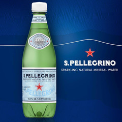 S.Pellegrino Sparkling Natural Mineral Water, Plastic Bottles, 16.9 Fl Oz (Pack