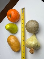 Vintage Paper Mache Faux Food Vegetables & Fruit Lot of 5 Handmade Garlic Pear