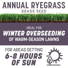 Annual Ryegrass 50 Lbs. 10,000 Sq. Ft. Grass Seed