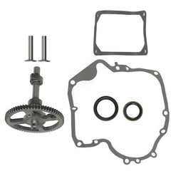 84005207 793880 Camshaft Kit For Briggs & Stratton 4 Cycle Small Engine Camshaft