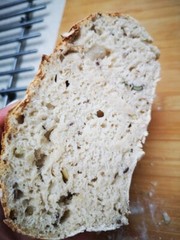 San Francisco live SOURDOUGH STARTER 200yo family heirloom Certified Organic!!