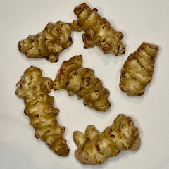 7 Jerusalem Artichoke (Sunchoke) Tubers For Planting. Grown by Greenhouse PCA
