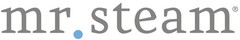 Mr. Steam MS 19.75 in. W. Wallseat in Polished Chrome