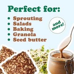 Organic Sunflower Seeds – Hulled, Non-GMO, Unsalted, Kosher – by Food to Live
