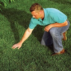 EZ Straw Seeding Mulch with Tack, 2.5 Cubic Feet (Pack of 1)
