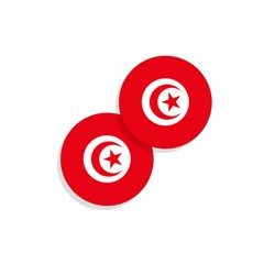 Tunisia Flag Stickers Flag Decals Round Indoor Outdoor Circles Tunisia 4 pack