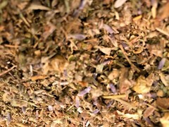 No.12 Blend -Poppy Patchouli Wild Lettuce Damiana +More herbs – oz 1 2 4 8 pound