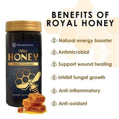 Kinohimitsu Wild Tualang Honey 500g