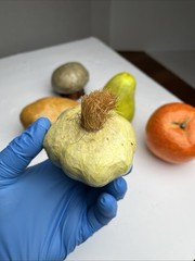 Vintage Paper Mache Faux Food Vegetables & Fruit Lot of 5 Handmade Garlic Pear
