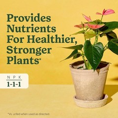 Indoor Plant Food for All Plants 8 Fl. Oz., 2-Pack
