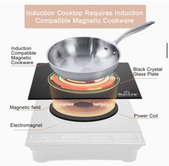 Duxtop 1800W Portable Induction Cooktop Countertop Burner, Silver 8120MC/BT-180G