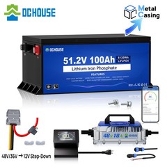 DC HOUSE Pro Metal Case 48V 100Ah Lithium Golf Cart Battery with 18A Charger