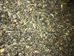 White Sage Poppy Passion Wild Lettuce +More No.14 Mix Hot Smokin Deals!