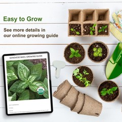 Heirloom Vegetable Seeds Survival Garden Kit – Over 18,000 Seeds, 39 Varieties