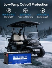 DC HOUSE Pro Metal Case 48V 100Ah Lithium Golf Cart Battery with 18A Charger