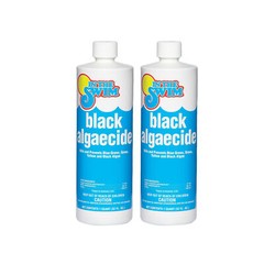 In The Swim Black Algaecide – Eradicates Black Algae in Swimming Pools – Copper
