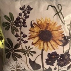 Anthropologie EVIE Pillow Cotton Floral Velvet Throw Accent NWT Not Available