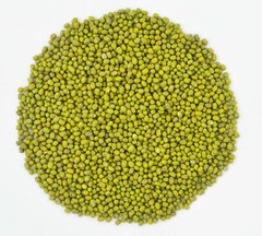 Organic Whole dried MUNG Beans ‘Green Gram’ ‘Moong’ Prewashed Clean non GMO