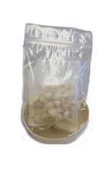 20 Million Beneficial Nematodes (H.bacteriophora) – Nema Globe Grub Buster fo…