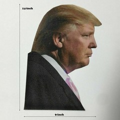 2024 President Donald Trump Car Sticker April Fool Passenger Right Side Window