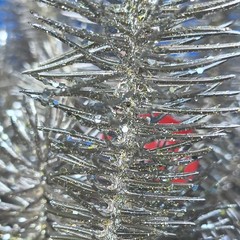 Artificial Silver Pine Branch Picks Door Decoration, 18 in, Pack Less Than 10