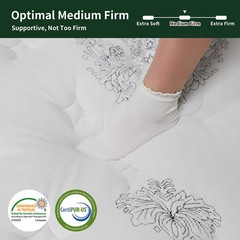 12″14″ Mattress Twin Full Queen King Size Gel Memory Foam Pocket Spring in a Box
