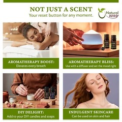 100% Pure Essential Oil Gift Set of 6 | Origin India (10ml each)