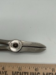 Clauss Garden Club Floral Shears Scissors 6.75 in Ornate Rose Handles Vintage