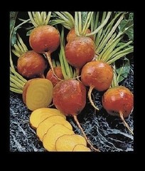 Burpee’s Golden Beets {30,100,200,400} Seeds Heirloom treated 55 days Bulk