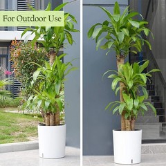 SAROSORA Large 12.5in Round SelfWatering Planter Pot Patio Garden Tall Trees