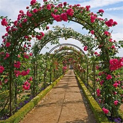 Metal Garden Arch with Ground Stakes Climbing Plant Trellis Wedding Frame Decor