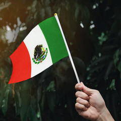 2/10/50X World Cup 2026 Mini Stick Flag,48 Country Nation Handheld Flag 5×8 inch