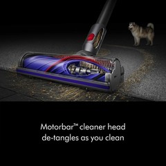 SV28 V11 Extra Cordless Vacuum Cleaner | Iron | Refurbished
