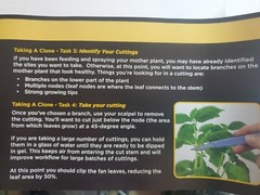 Clonex Gel 100ml Rooting Compound Clone Cutting 100ml. NEW FRESH BATCH