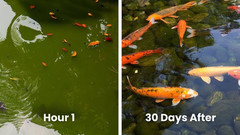 2Pcs AEXZR Water Clarifier Aquaculture Water Purifying Treatment