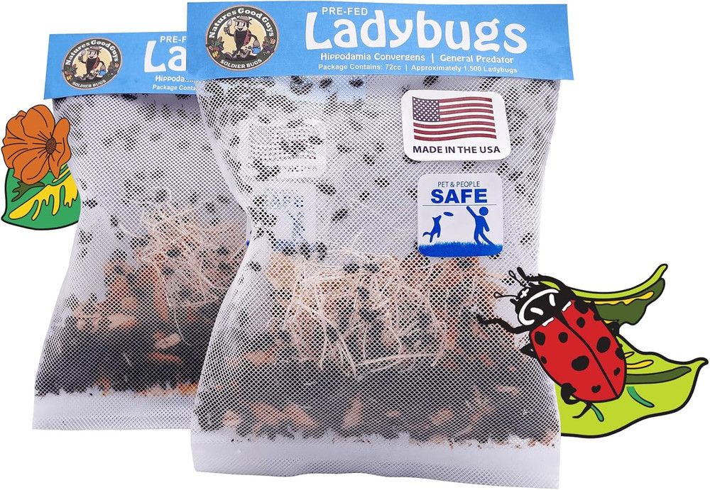 3000 Live Ladybugs – (2 X 1500 Live Ladybugs) – Guaranteed Live Delivery!