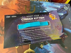 World of Warcraft Midnight 10.25″ Cast Iron Skillet Pan Cinder Kitten Companion