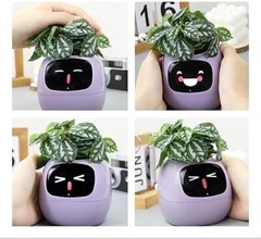 Ai Smart Planter Smart Plant Care Pot Ai Chips 7 Sensors 49 Expressions
