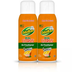 10 Oz. Orange Real Citrus Air Freshener Spray, Citrus Oil Natural Air Freshener,